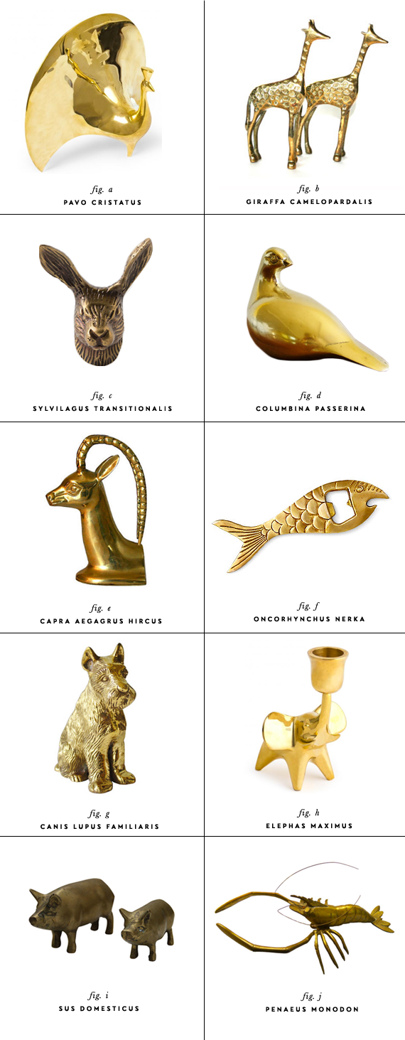 brass menagerie - brass animal objects