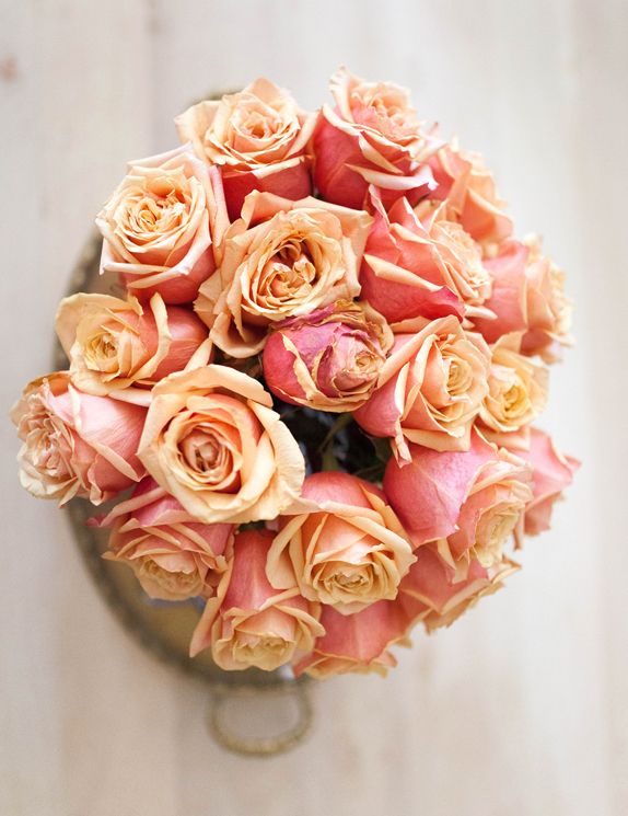 blush and pink roses