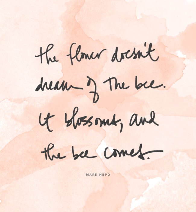 the flower doesn't dream of the bee