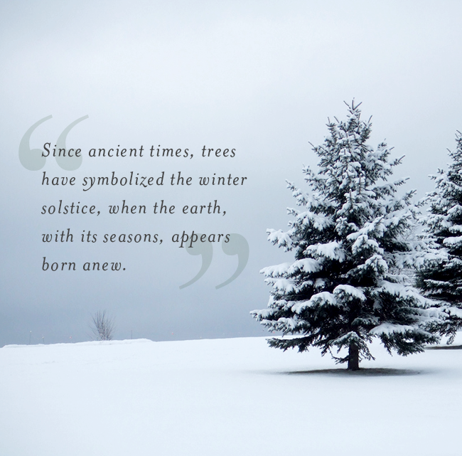 history of christmas trees