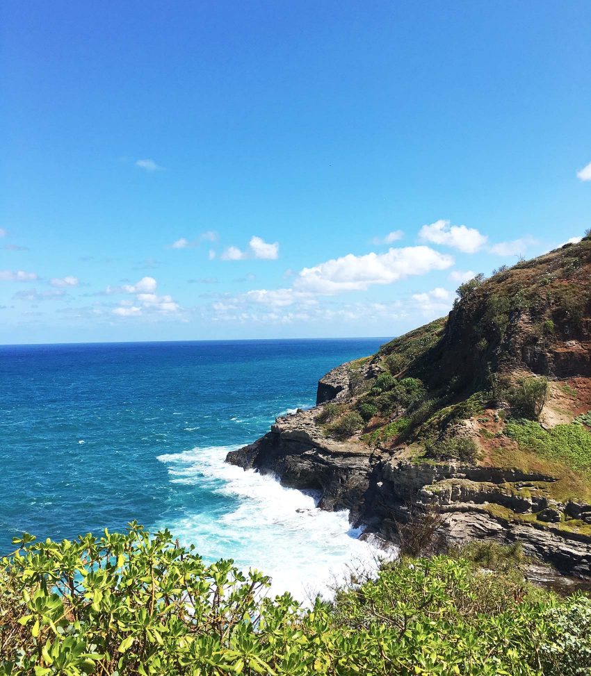 Postcards from Kauai – Victoria McGinley Studio