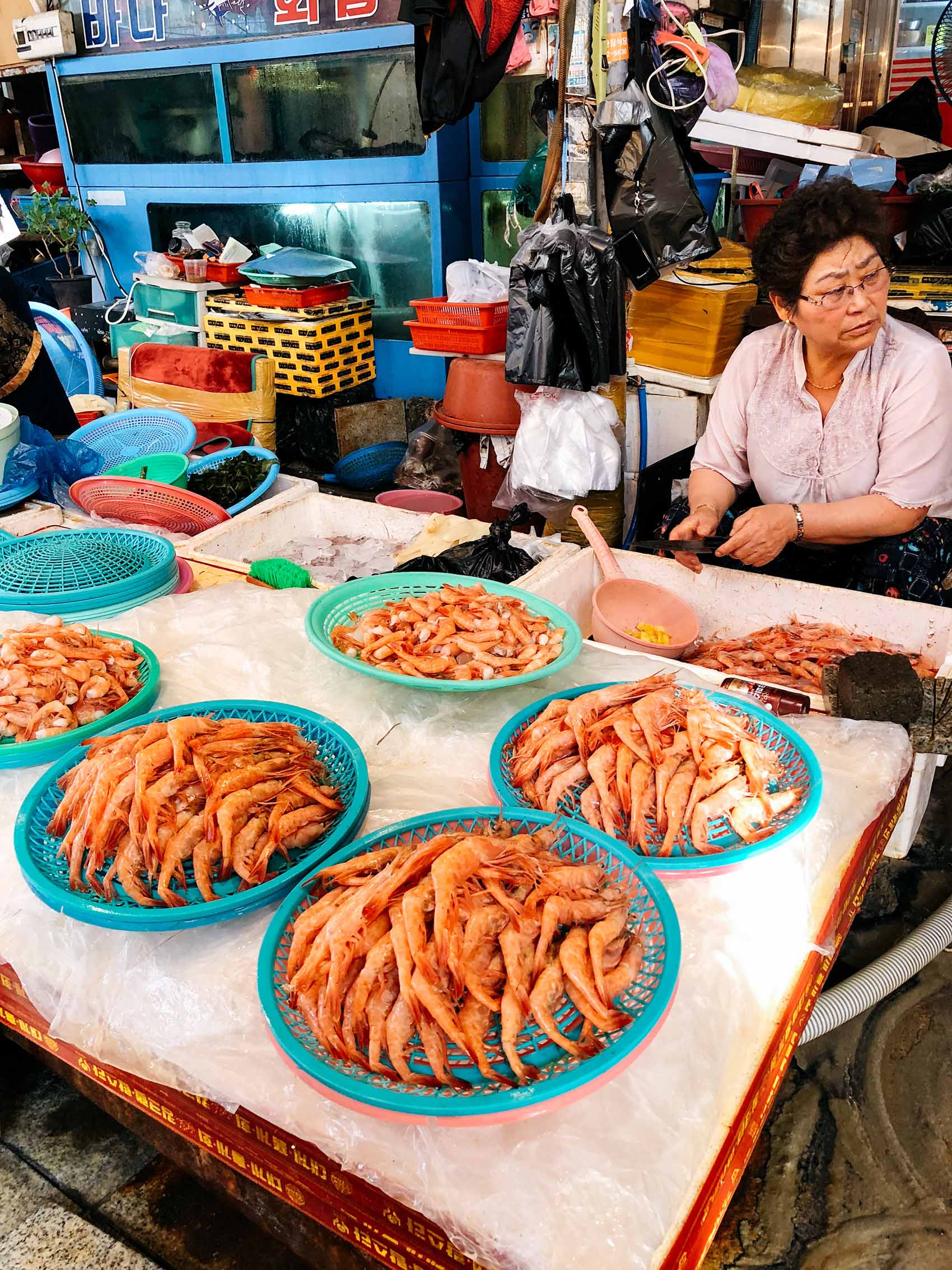 jukdo fish market, pohang, south korea